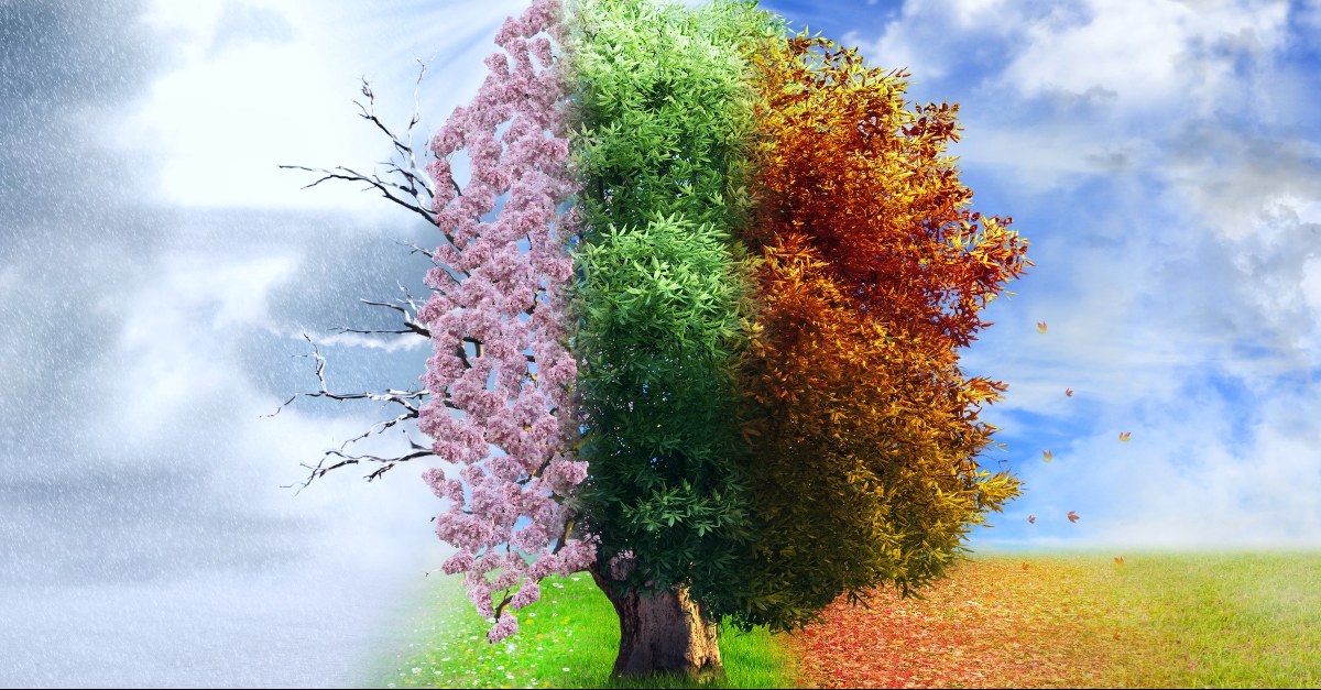 Will Spring, Summer, Fall, and Winter Last Forever? What the Bible Says—and Doesn’t
