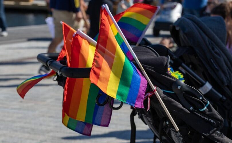 ‘No Gay Gene’: Ruth Institute video challenges ‘Born This Way’